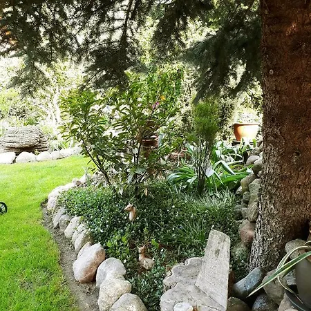 Apartmán Zum Weissen Hirsch