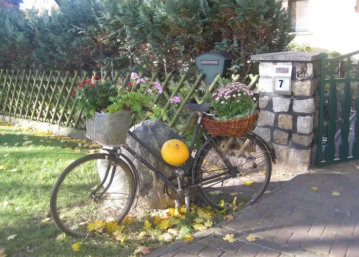 Zum Weißen Hirsch Apartment Reitwein