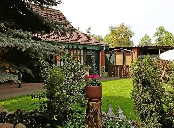 Zum Weißen Hirsch * Reitwein