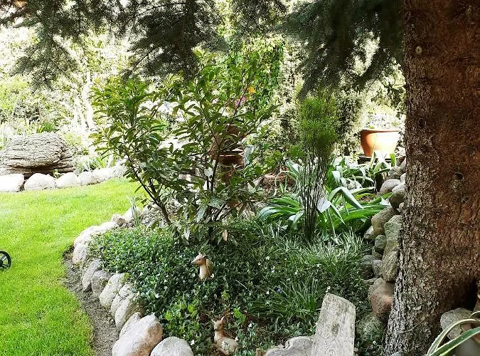 Apartment Zum Weißen Hirsch