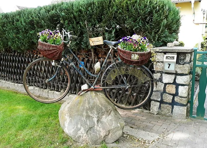 Zum Weißen Hirsch Apartment Reitwein